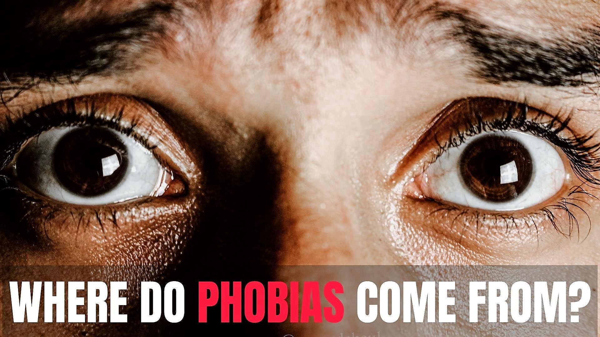 Where Do Phobias Come From? | The Little Albert Experiment