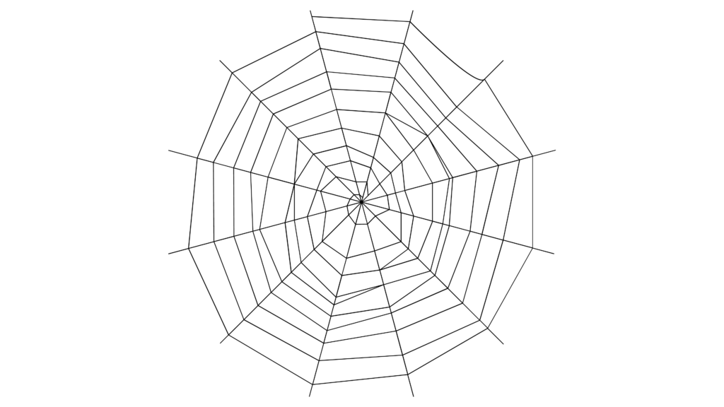 Spider Web Spider Web